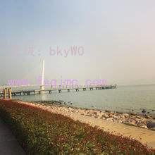 ̫