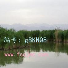 Ҹ
