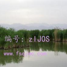 Ҹ
